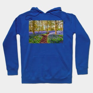 Bluebell Woods Greys Court England UK Hoodie